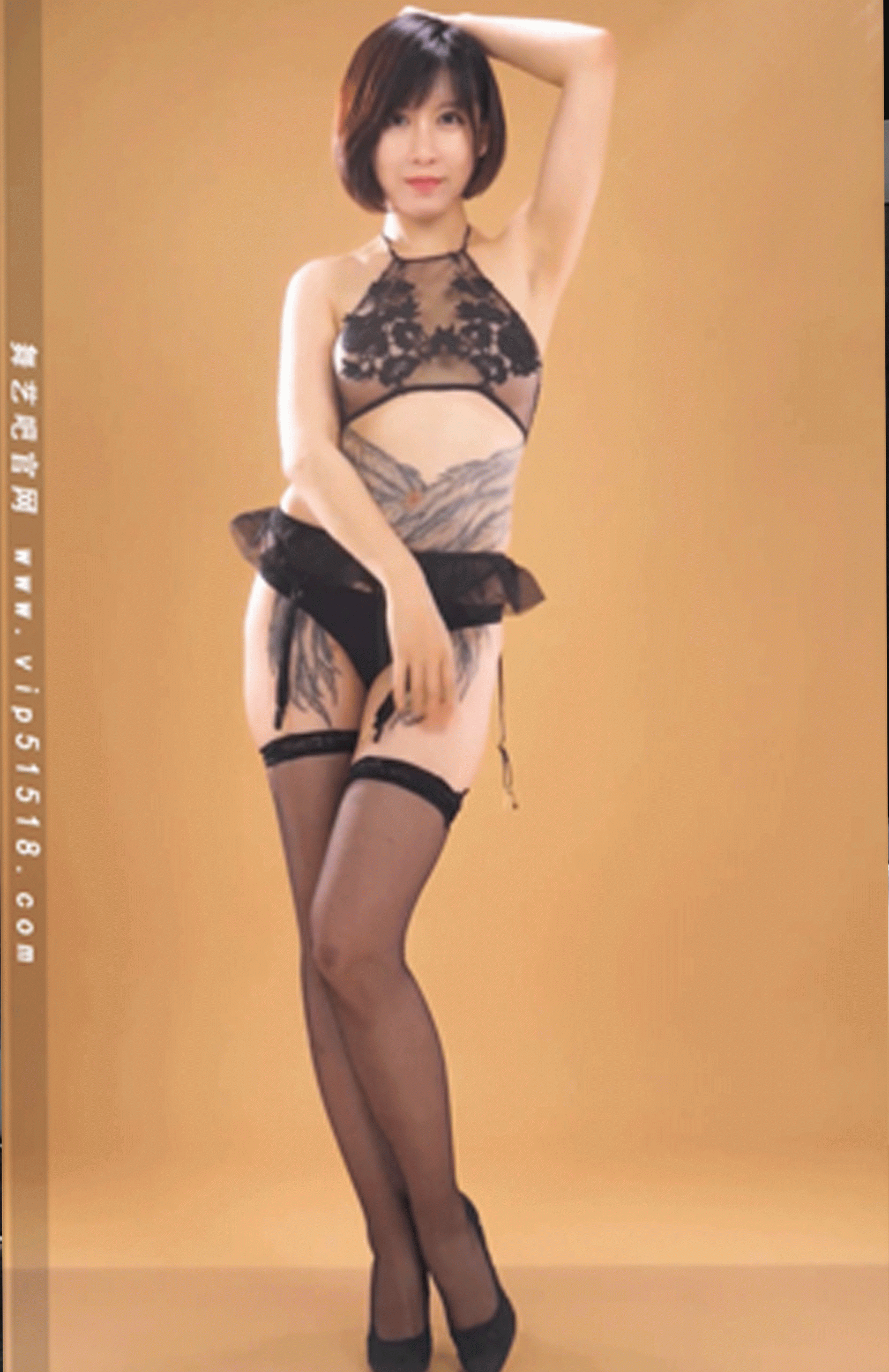 舞艺吧奥雪1期-10V-竖版4G