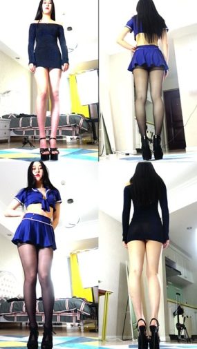 炫舞世家-薇薇2期-6V-1.18G